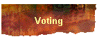 Voting